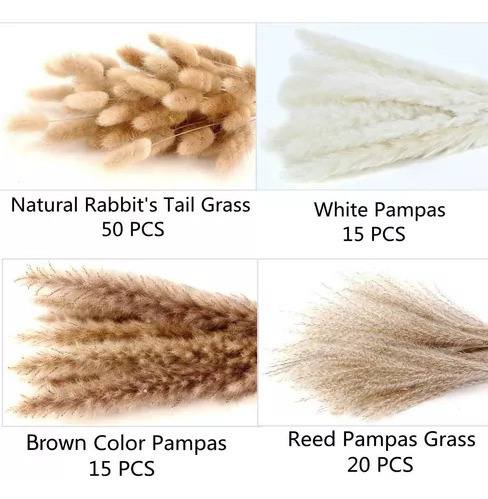 Decoración Seca Natural Capim Dos Pampas Plumas Con