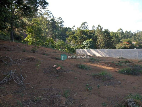 Imagem 3 de 10 de Terreno À Venda, 1000 M² Por R$ 250.000,00 - Nova Califórnia - Juiz De Fora/mg - Te0238