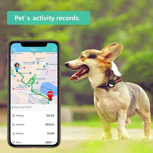 Petfon Pet Tracker Gps, El Pecado Tarifa Mensual, Dispositiv