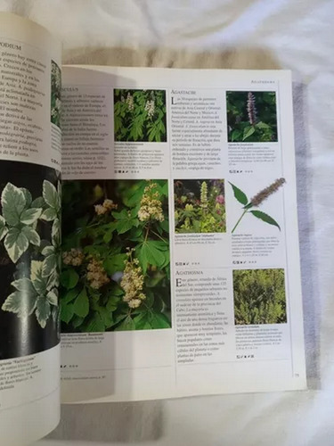 Brown: Enciclopedia De Las Hierbas Y Sus Usos