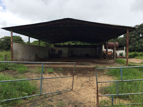 Imagen 5 de 21 de Finca Cerca De Rio Tiznado A 50 Km De Calabozo