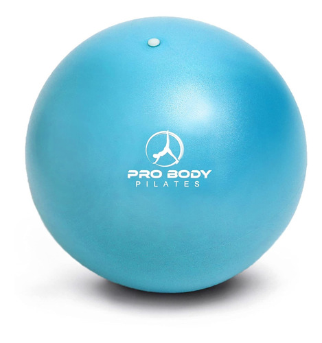 Mini Pelota Ejercicio  22.86 Cm Para Estabilidad Barra Yoga