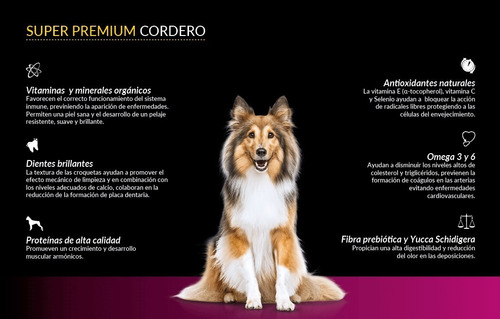 Imagen 1 de 1 de Canbo Cordero Adulto Para Razas Medianas Y Grandes 15 Kg