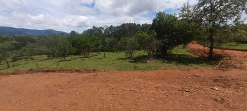 Imagem 7 de 8 de #v# H 11- Lotes Com Melhor Preço Do Mercado