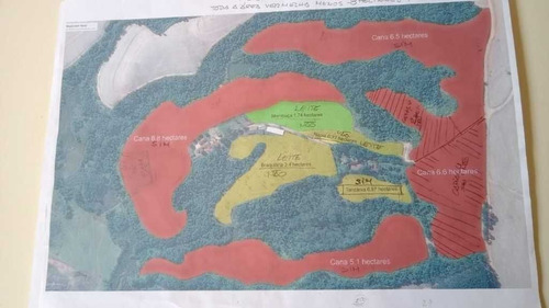 Imagem 11 de 29 de Sitio Com 63 Hectares De Leite Casa Branca Sp 6.500,000,00 - 44800