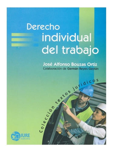 Derecho Individual Del Trabajo, De Bouzas Ortiz, José Alfonso. Editorial Iure Editores, Tapa Blanda, Edición 1° Edición En Español, 2016