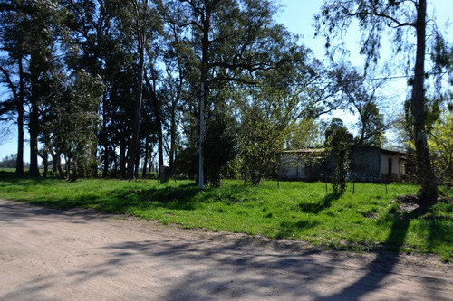 Imagen 5 de 12 de Vendo Lote Con Casa A Reciclar En Saladillo