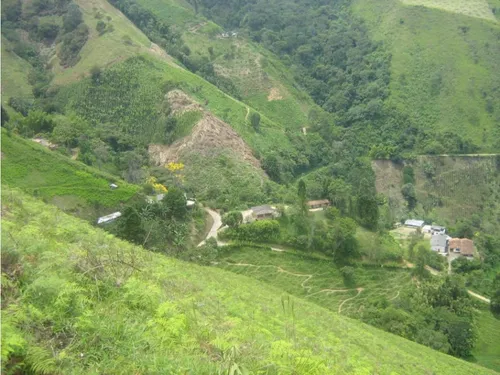 Finca En Vender En Dabeiba