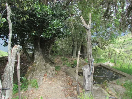 Finca En Venta (soatá - Boyacá)