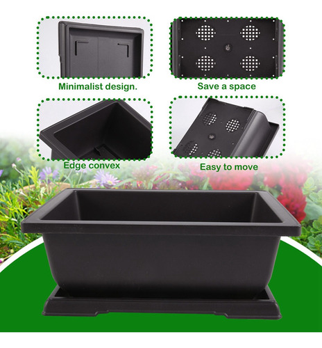 Y Maceta Rectangular Grande Para Bonsái