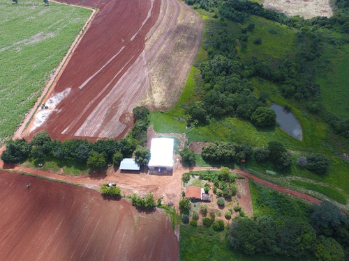 Fazenda Excelente À Venda