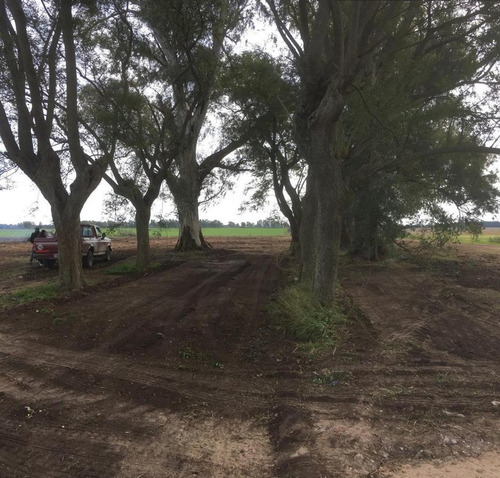 Venta De Campo 5has En La Celina, San Pedro