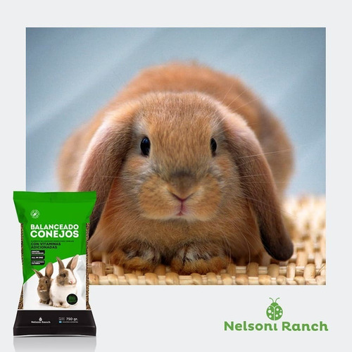 Imagen 5 de 6 de Alimento Balanceado Conejo Cobayo Conejin 750g Nelsoni Ranch