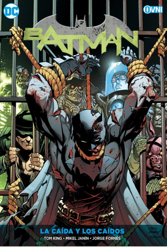 Batman Vol. 10: La Caída Y Los Caídos - King, Williamson Y O