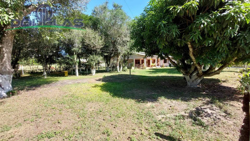 Imagem 5 de 15 de 4,6 Hectares Com Acesso Para Lagoa , Águas Claras/viamão-rs - 1846