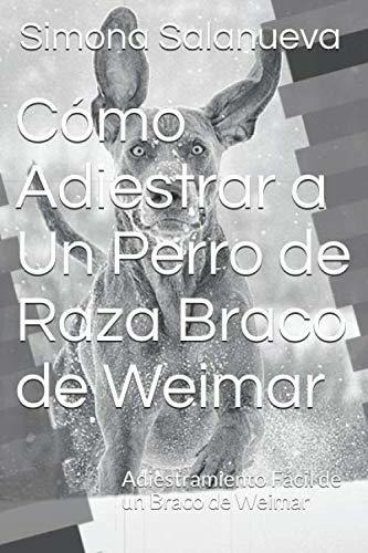 Cómo Adiestrar A Un Perro De Raza Braco De Weimar: Adiestram