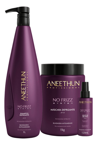 Aneethun No Frizz - Shampoo + Máscara + Leave In Selante