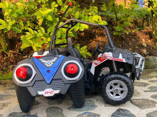 Cuatrimoto Carro Control Remoto Buggie 1:10 Todo Terreno Rc