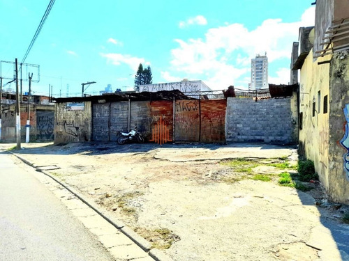 Imagem 5 de 10 de Terreno Para Alugar, 250 M² Por R$ 4.000,00/mês - Aricanduva - São Paulo/sp - Av6131