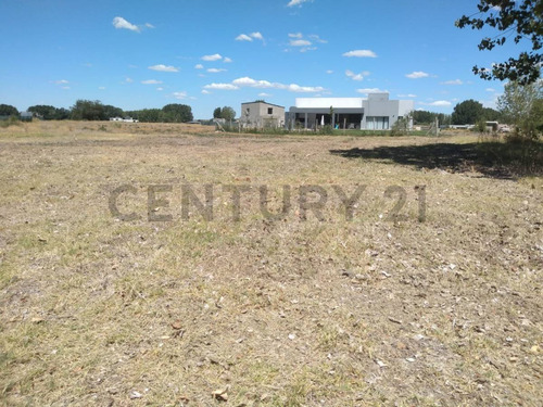 Lote Canales De Plottier