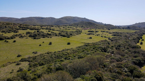 Imagen 8 de 15 de Chacra Campo En Venta, Lavalleja, Aguas Blancas, Fraccionami (ref: Atm-6842)