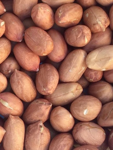 Maní Crudo Con Piel 5kg - Runner 38/42 - Grano Seleccionado