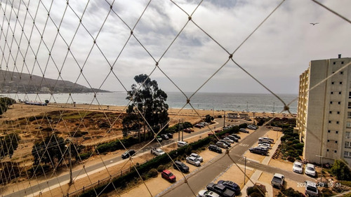 Papudo Laguna Primera Línea Frente Al Mar Para 8
