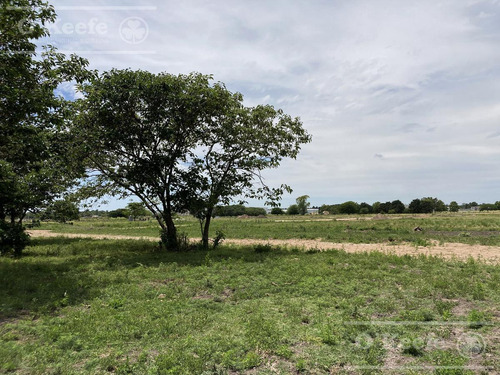 Imagen 10 de 16 de Barrrio Parque Hudson - Lote En Venta En Hudson - Sin Expensas - Loteo Abierto
