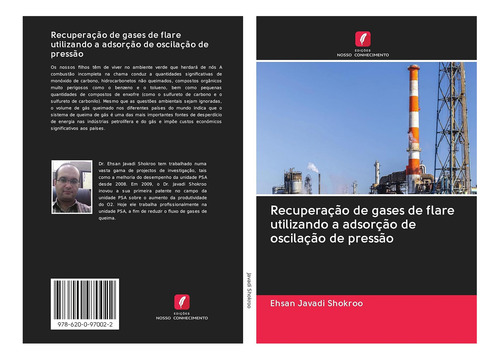Libro: Recuperação De Gases De Flare Utilizando A Adsorção