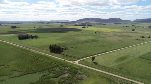Imagen 2 de 30 de Quinta De 8 Has. A 1.800 Mts Ruta 226 - 100 % Agrícola