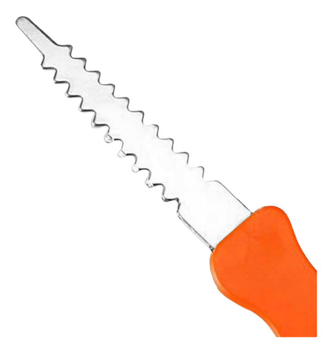 Cuchillo Para Tallar Calabaza, Grabado De Fruta Para Fiesta