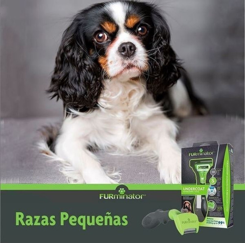 Imagen 5 de 8 de Furminator Cepillo Pelo Largo Small Perro Pequeño