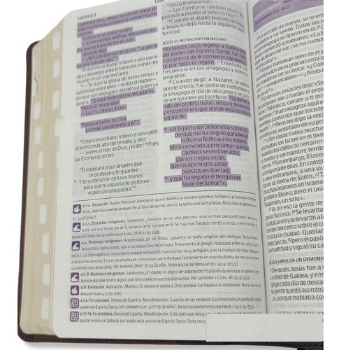 Imagen 8 de 9 de Biblia Del Pescador Ntv Piel Marrón Con Indices