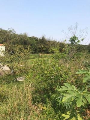 Imagem 8 de 8 de Terreno À 500 Metros Do Mar No Jd. Regina - Itanhaém !! 8582