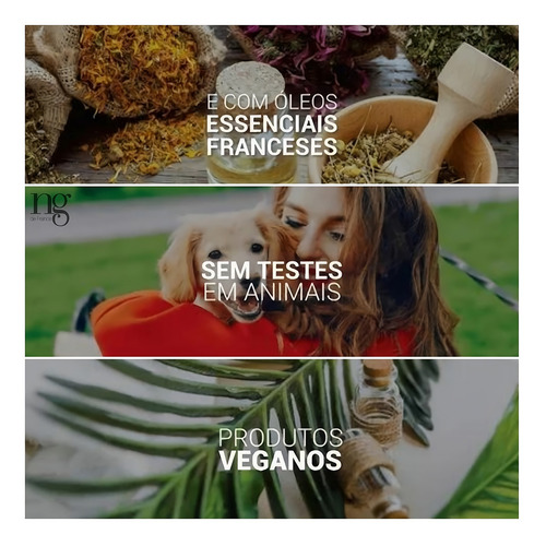 Ng De France Kit Pós Fast Liss + Spray Thermo + Biossentiel