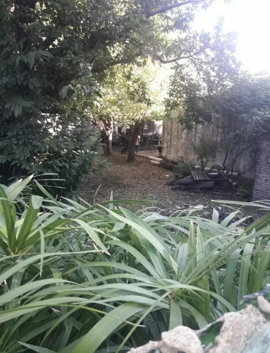 Terreno - Luis Guillon