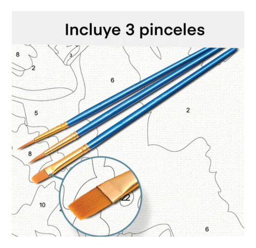 Tucanes Kit Pintura Por Números 30x40 Lienzo Con Bastidor