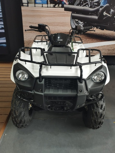 Imagen 12 de 15 de Kawasaki Brute Force 300