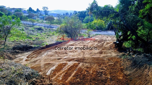 Imagem 5 de 12 de Terreno Em Condomínio - Tc00004 - 69403349