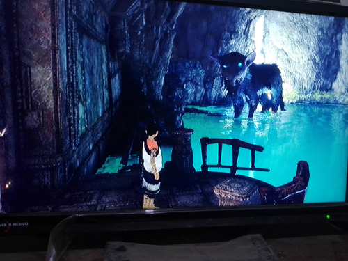 The Last Guardian Ps4 Playstation 4 - Wird Us (Usado)