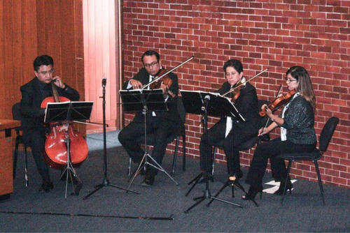 Imagen 3 de 5 de Violines Para Misa Y Eventos Sociales Cuerdas, Piano Y Voz