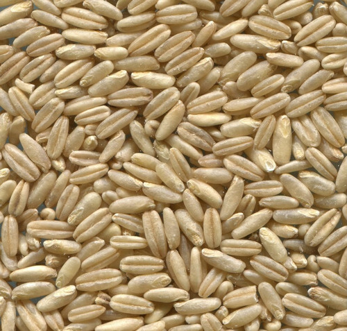 Semillas De Avena Pelada Para Pajaros X 1 Kg.