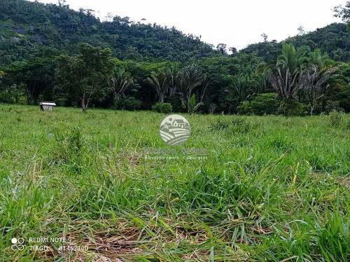 Imagem 8 de 9 de Venda Sítio Monte Negro Em Rondônia - Siv214