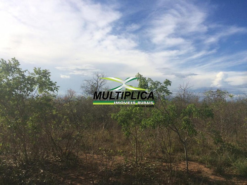 Fazenda À Venda Em São Romão Mg Para Agricultura Pecuária - 387