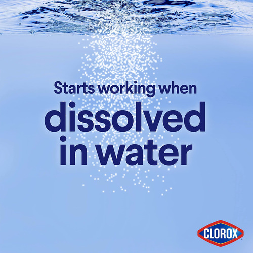 Cloro En Polvo Concentrado 600 G De Lejía Clorox