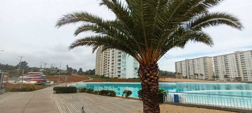 Arriendo Depto. Amoblado Algarrobo 2d 2b (98230)