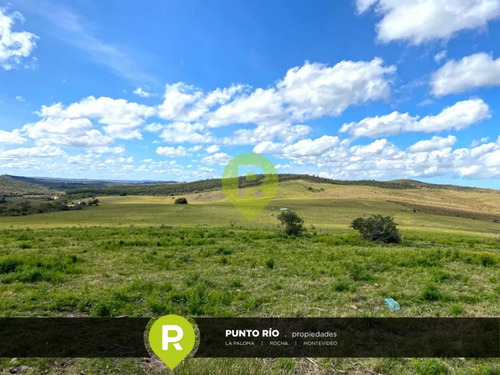 Campo En Rocha,