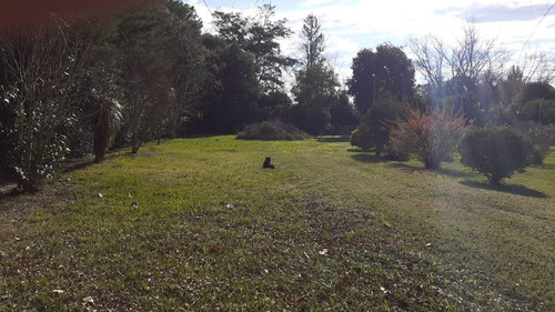 Imagen 17 de 30 de Casa Quinta En Barrio Parque Mendizabal