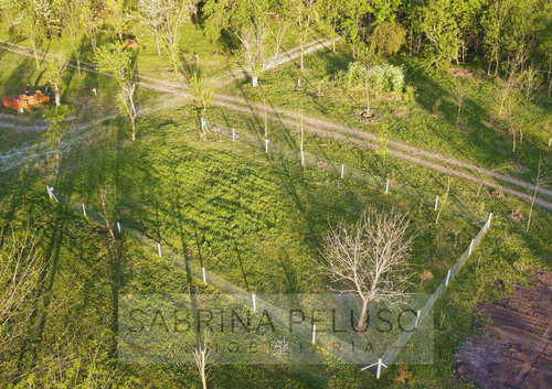 Lote Venta La Reja Moreno