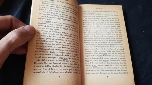 Siddhartha Hermann Hesse En Ingles Premio Nobel Literatura (Usado)